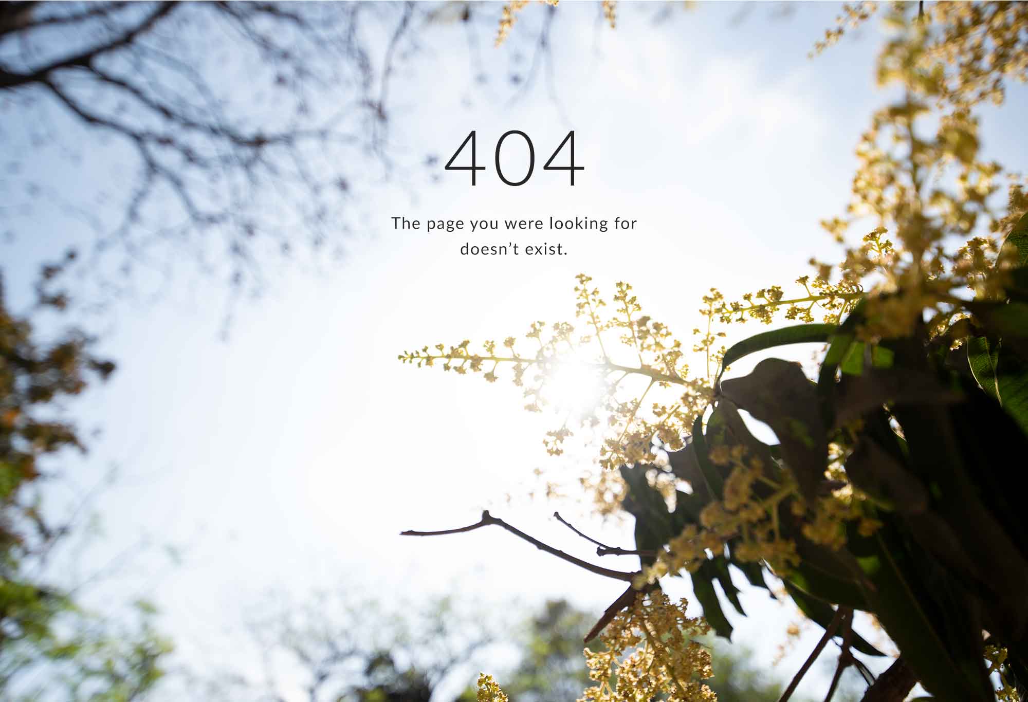 404-page